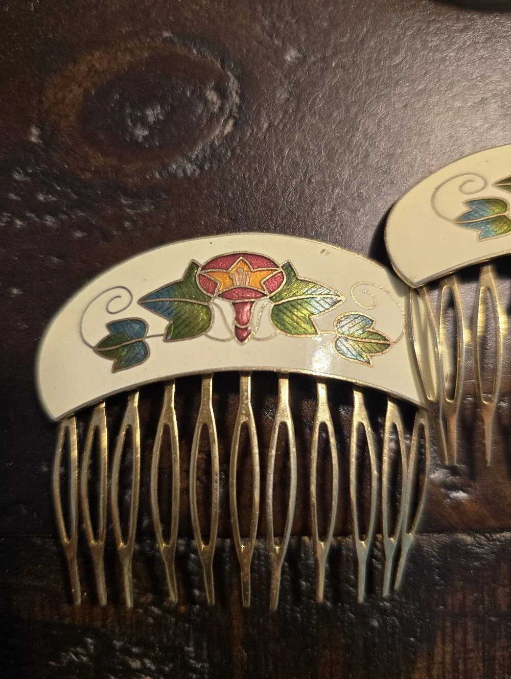 Vintage Cloisonné Enamel Floral Hair Combs Pair Brass Art Nouveau